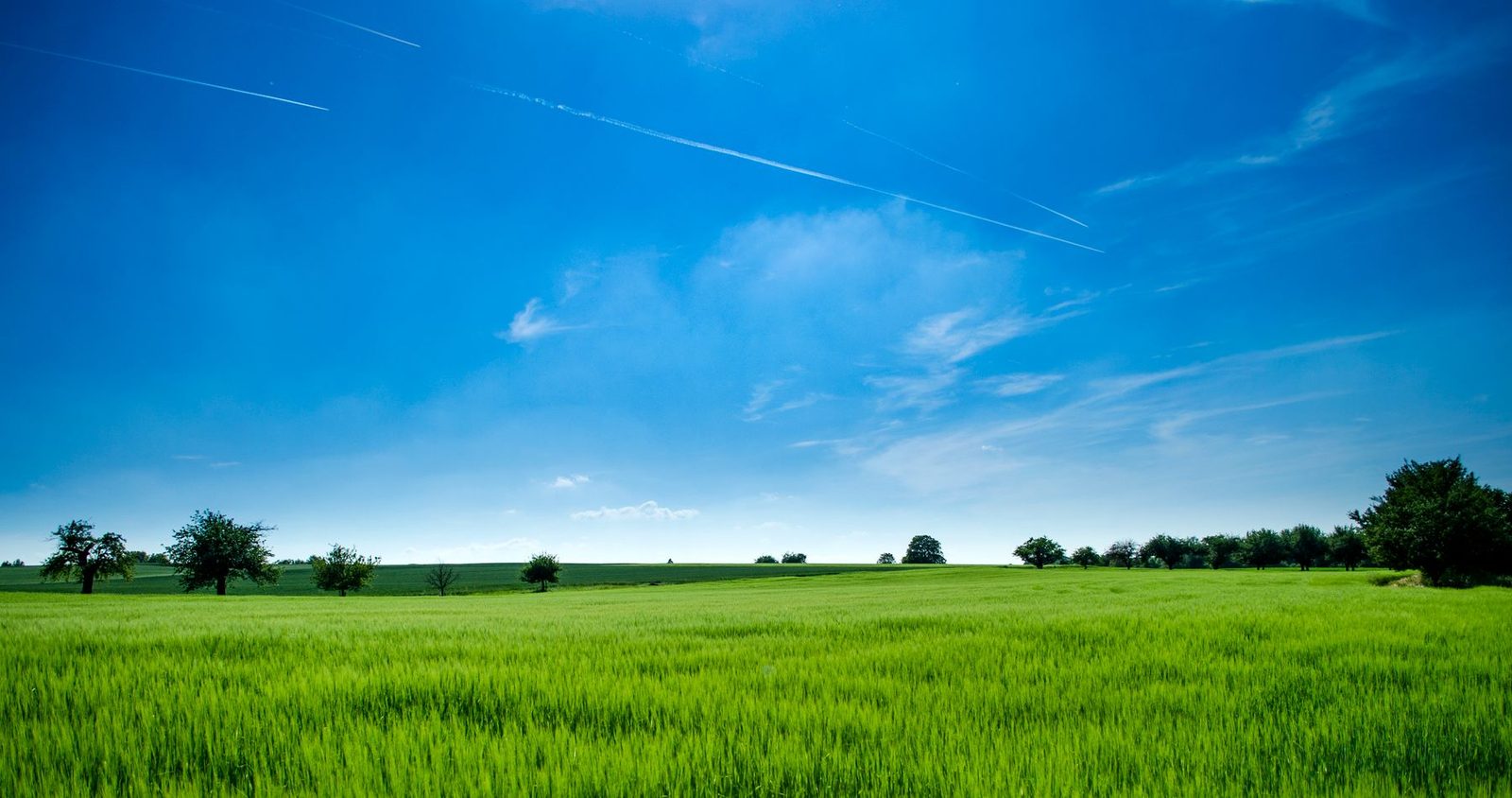 Open field before site drainage and development